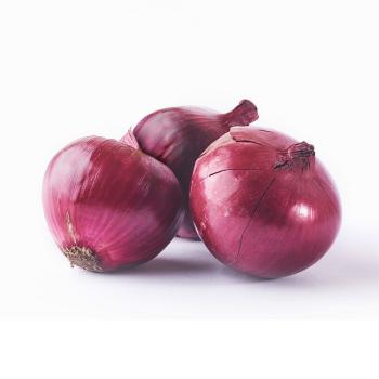 Zwiebel rot