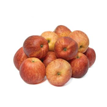 Apfel "Gala" 