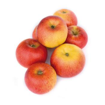 Apfel "Topaz" 