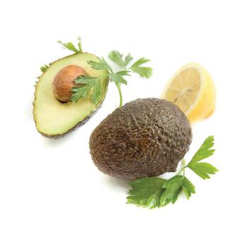 Avocado 