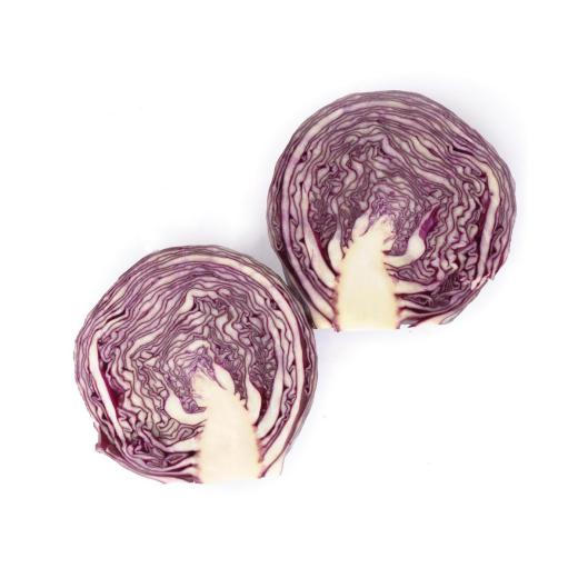 Blaukraut