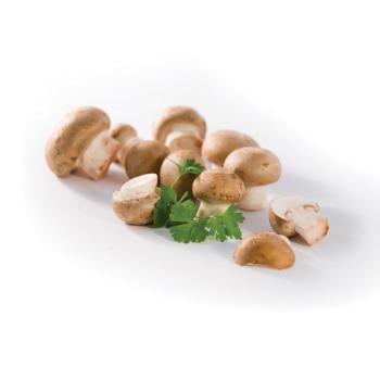 Champignon braun