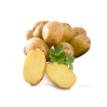 Erdäpfel "Ditta" fk 5kg ungewaschen