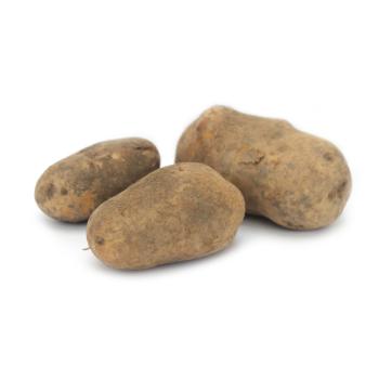 Erdäpfel "Agria" mk 5kg ungewaschen