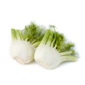 Fenchel