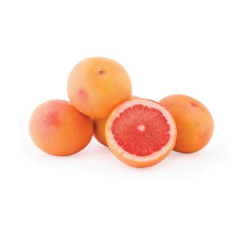 Grapefruit rot