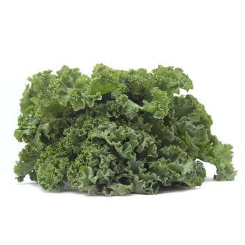 Grünkohl