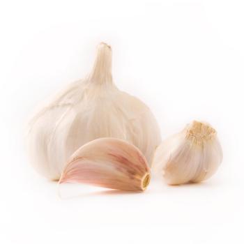 Knoblauch trocken