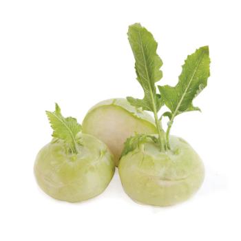 Kohlrabi 