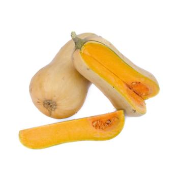 Kürbis "Butternuss"