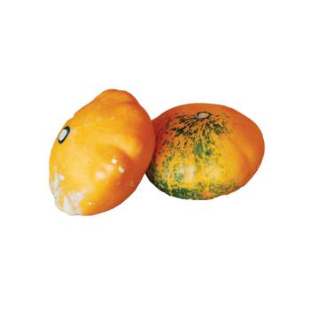 Kürbis "Patisson"