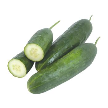 Landgurken