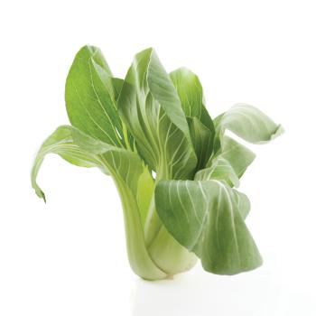 Pak Choi