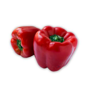 Paprika rot