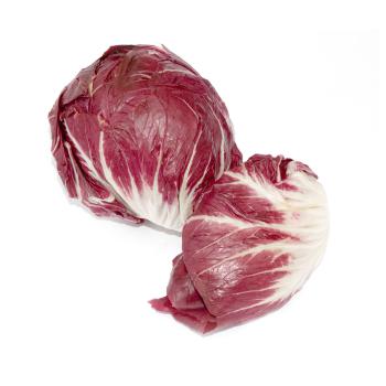 Radicchio
