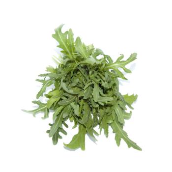 Rucola