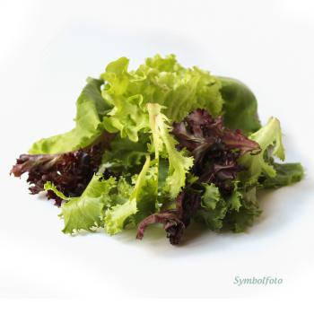 Salat Mix