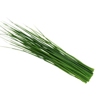 Schnittlauch Bund