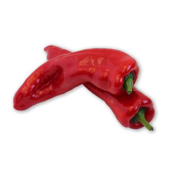 Spitzpaprika rot