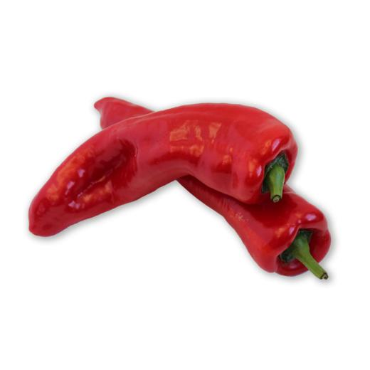 Spitzpaprika rot