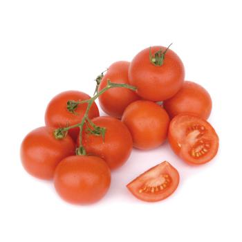 Strauchtomaten