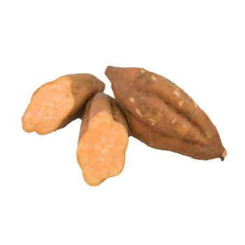 Süßkartoffel 