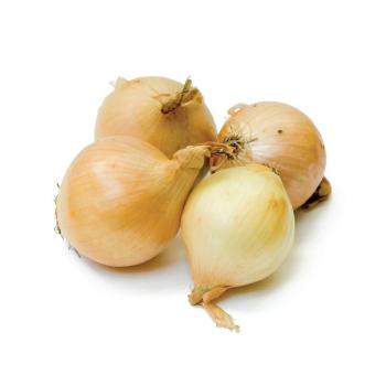 Zwiebel gelb