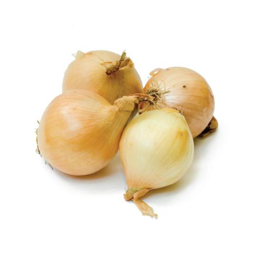 Zwiebel gelb