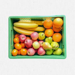 Pausenkiste Obst
