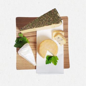 Käse-Gourmet
