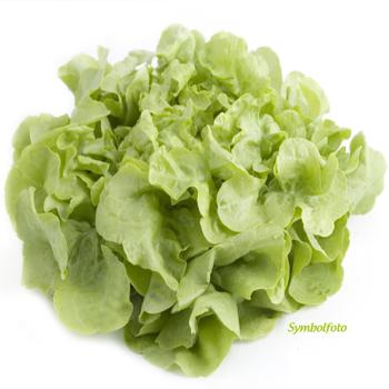 Blattsalat