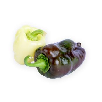 Snackpaprika grün & hellgrün mix