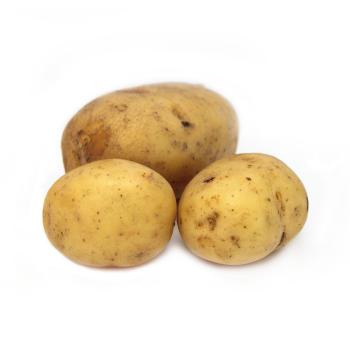 Erdäpfel festkochend 