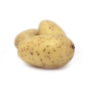 Erdäpfel mehligkochend