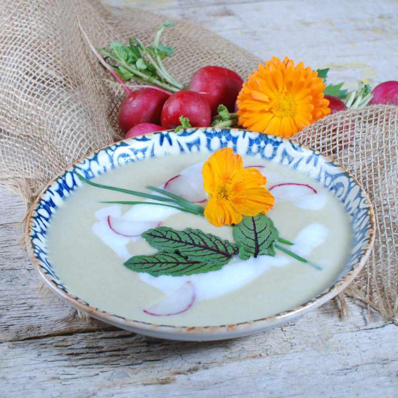 Radieschen-Suppe