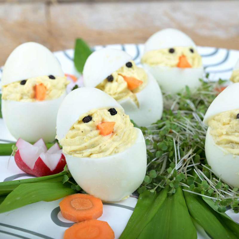 Eier-Küken