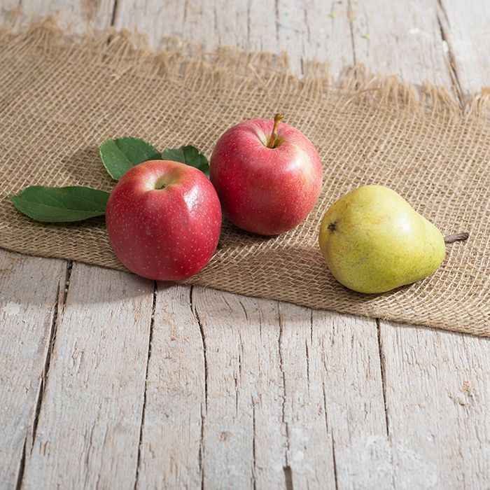 Äpfel & Birnen
